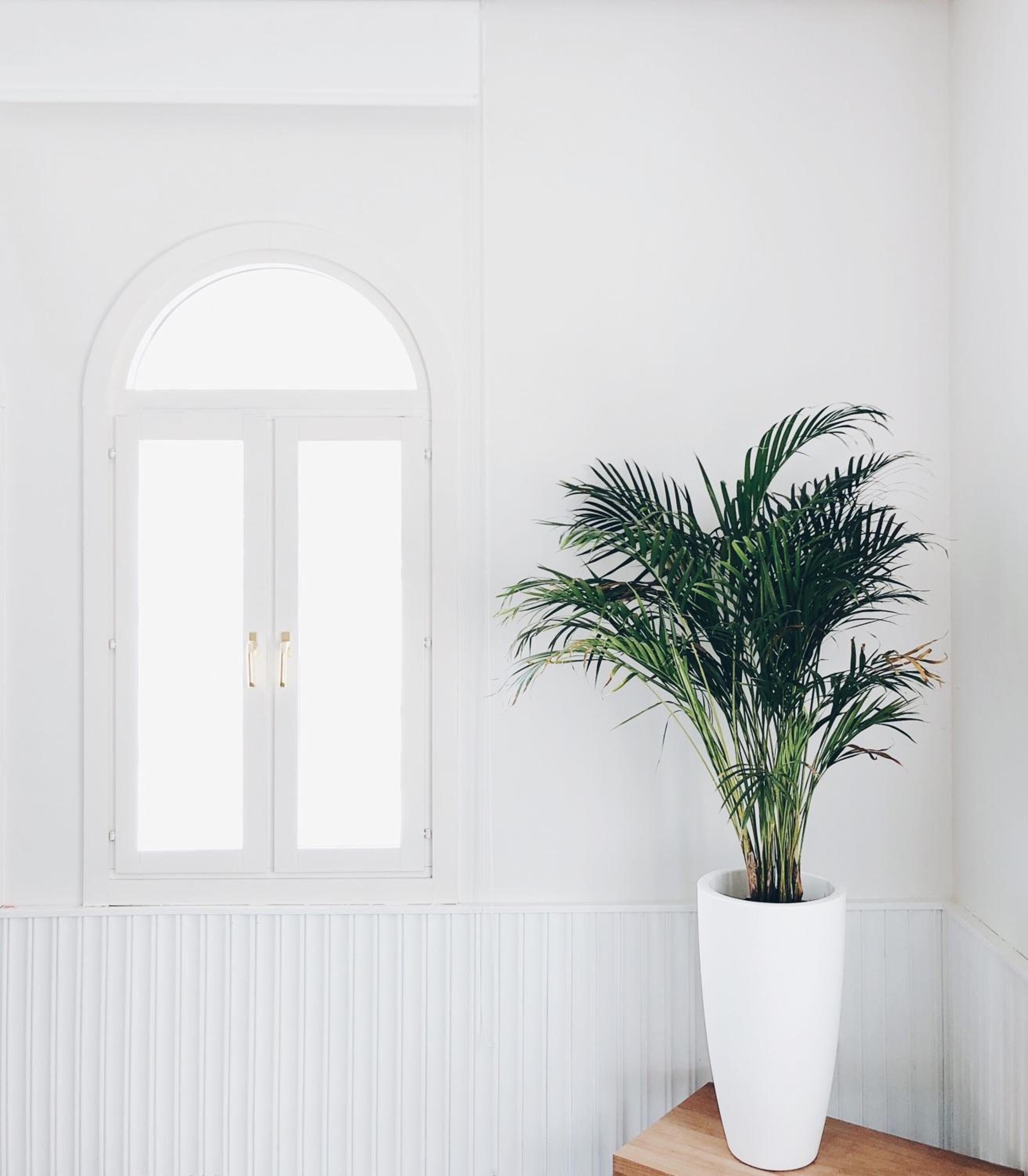 Photo - Hotel & Talasoterapia Zelai