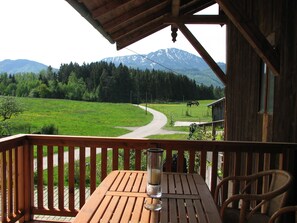 Executive Apartment | View from room