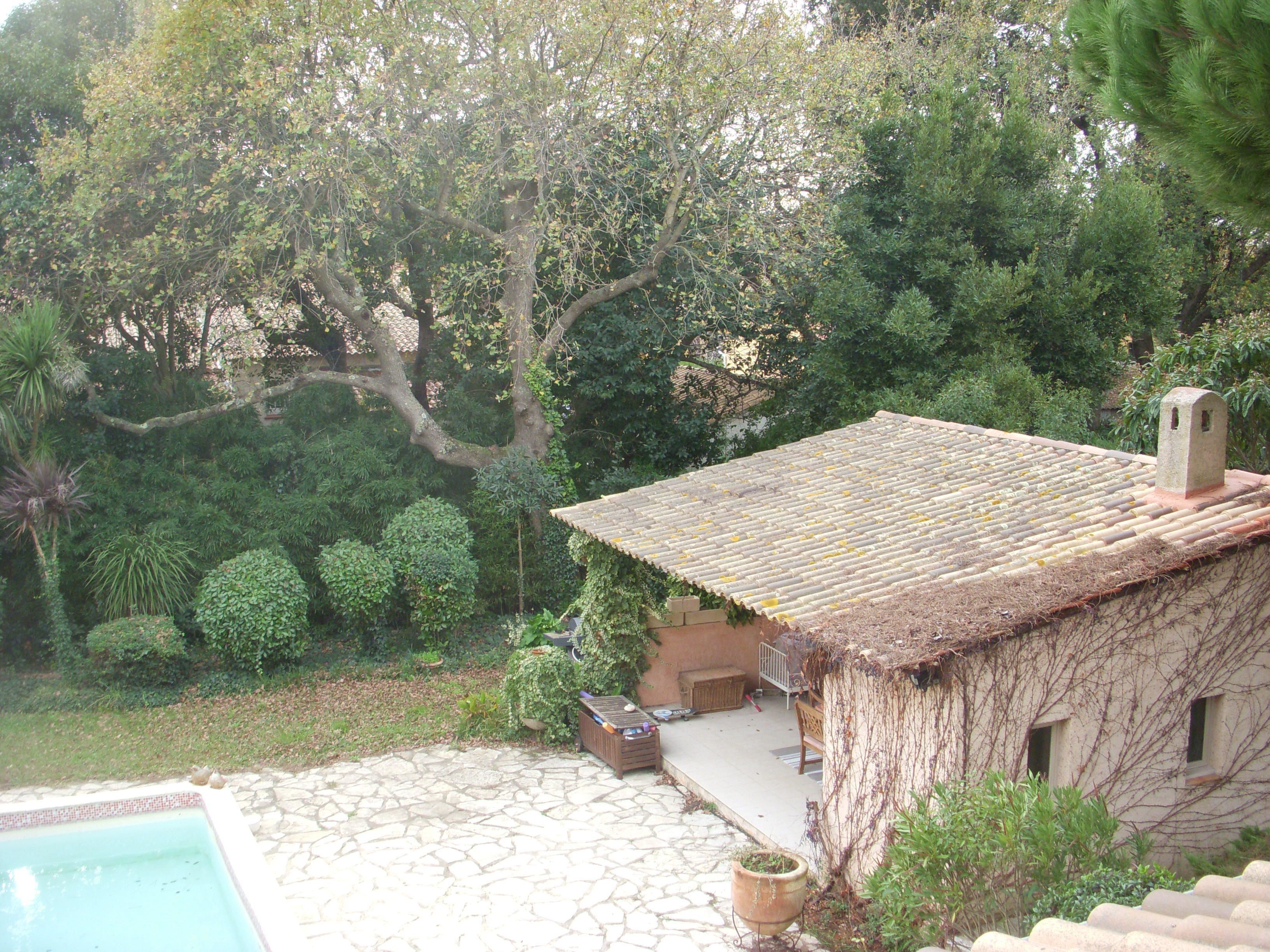 A rustic house with a tiled roof, a stone pool, and lush greenery.
