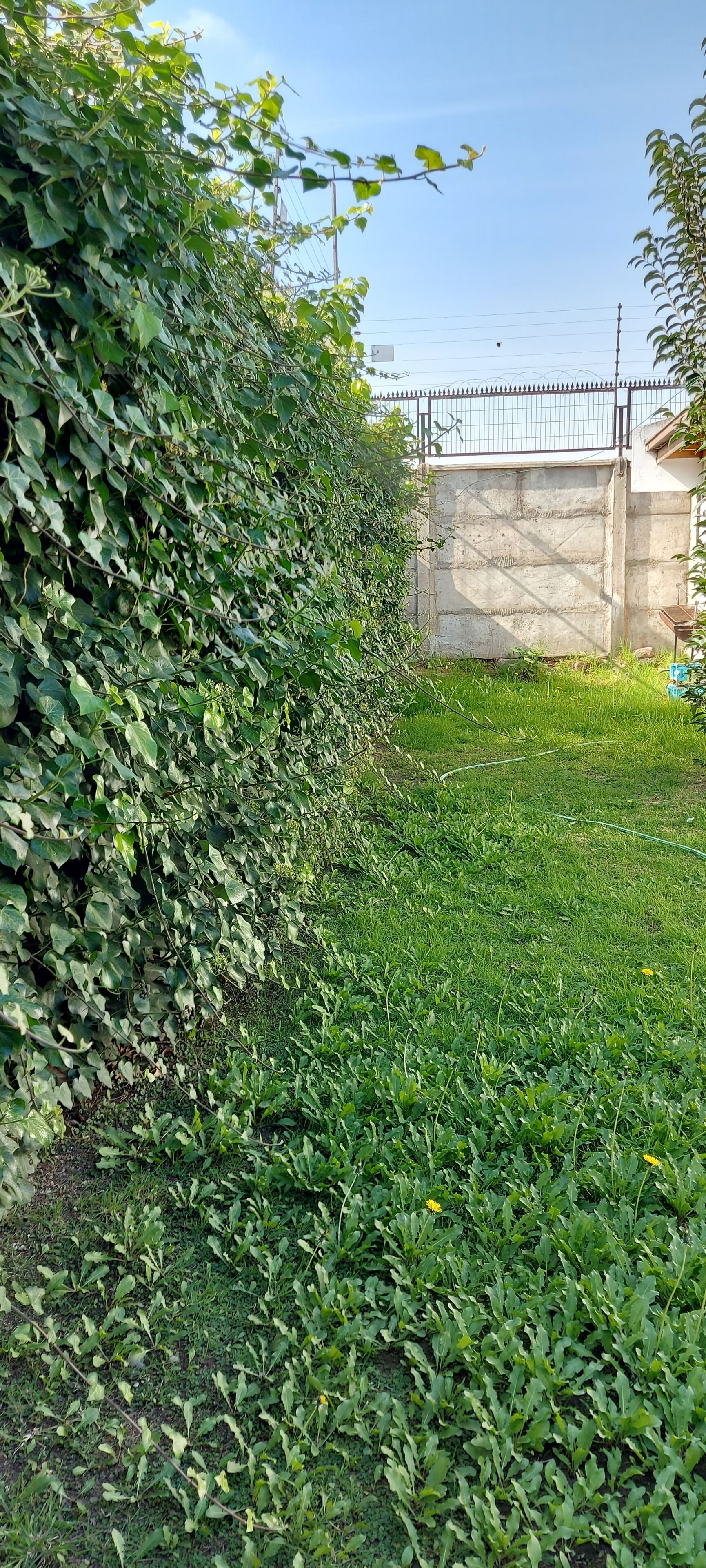 Foto - Hotel Chagual