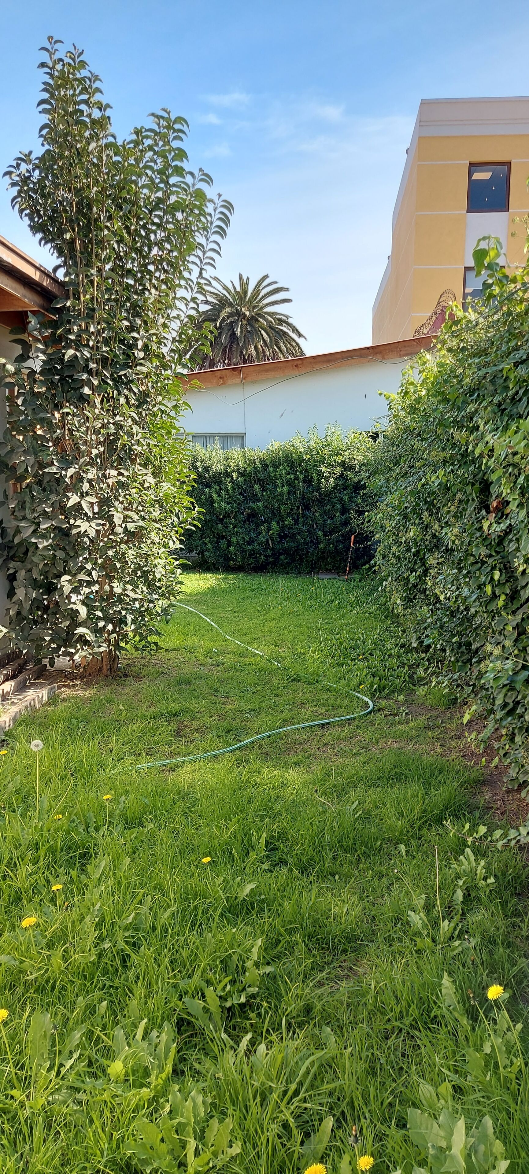 Foto - Hotel Chagual