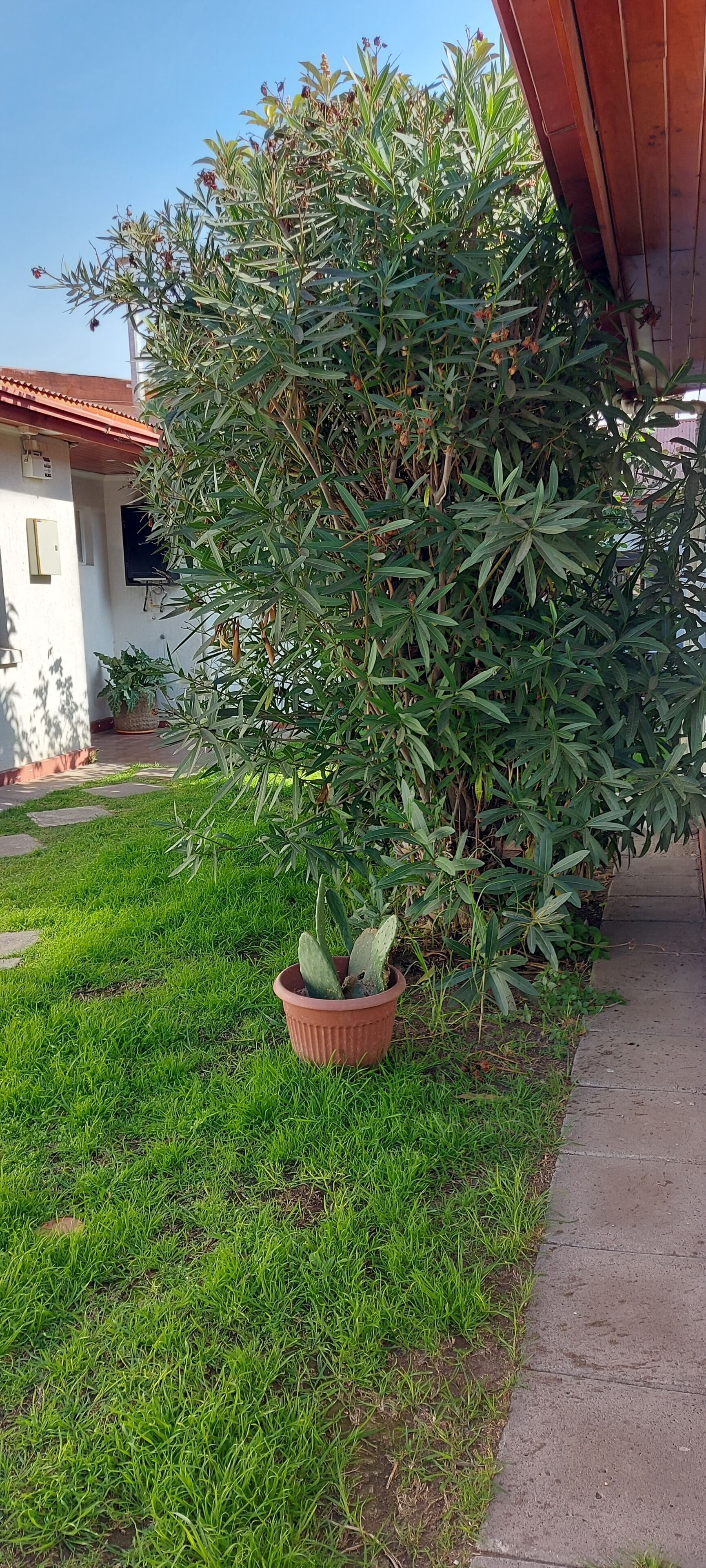 Foto - Hotel Chagual