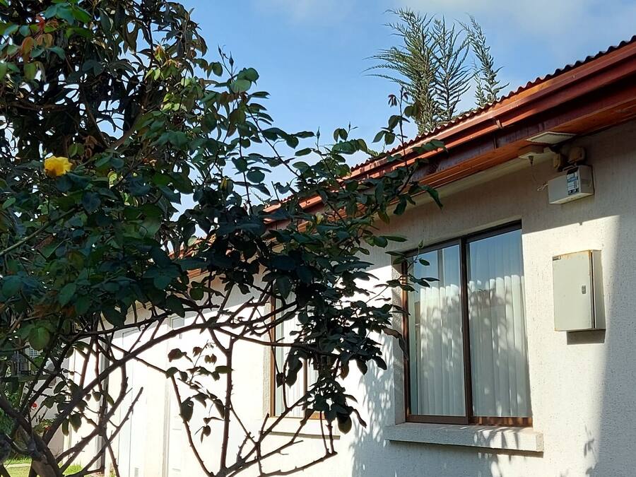 Uma casa com telhado vermelho, janela com cortinas brancas e uma árvore com folhas verdes ao primeiro plano.