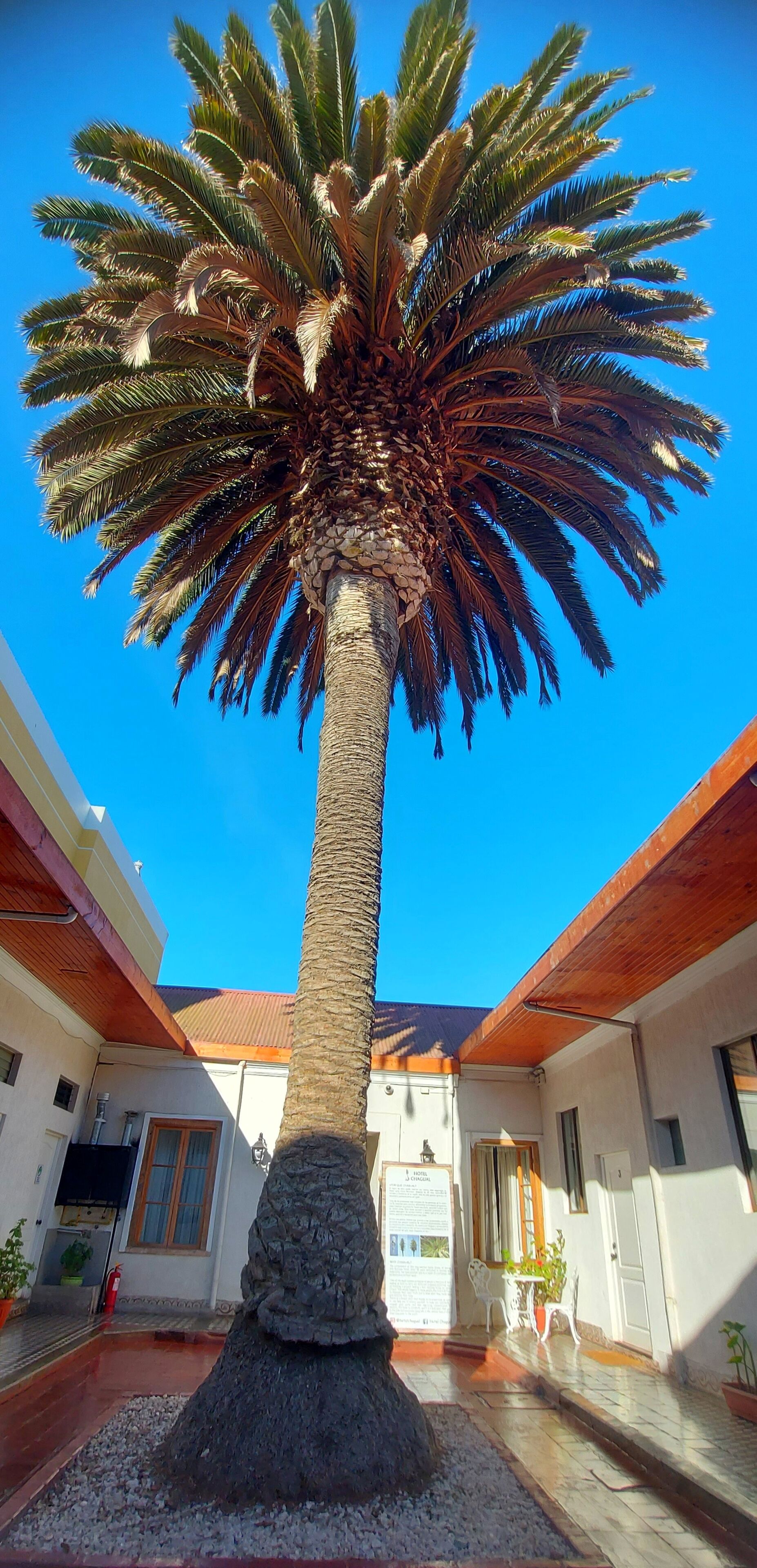 Foto - Hotel Chagual