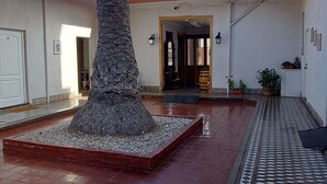 Un patio con una palmera, suelo de baldosas y la entrada de un edificio.