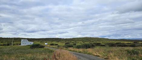 Un paisaje rural con un camino de tierra que lleva a un edificio blanco.