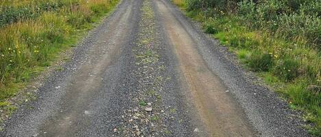 Un camino de grava bordeado de vegetación y algunos edificios a lo lejos.