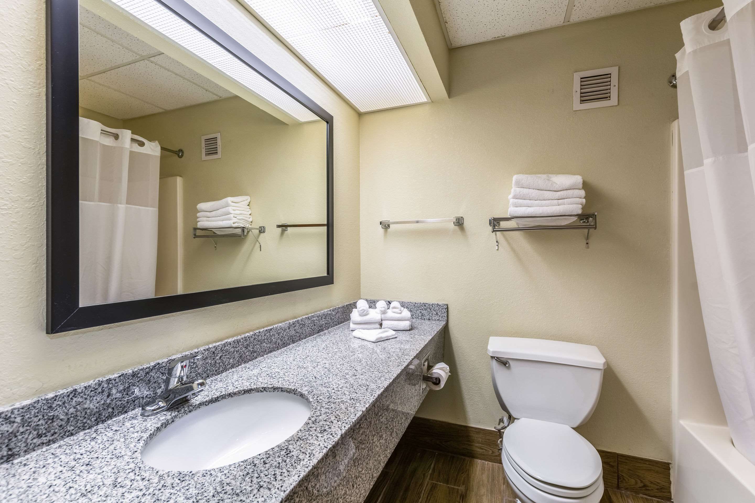 A bathroom with a granite sink, a mirror, a toilet, and a shower curtain.