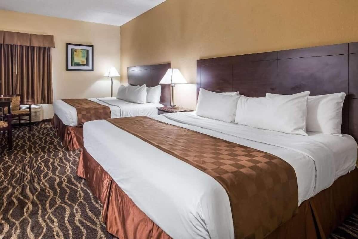 A hotel room with two beds, a desk, a chair, a lamp, and a patterned carpet.