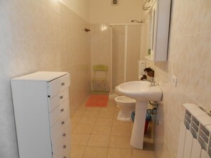 Shower, hair dryer, bidet, towels