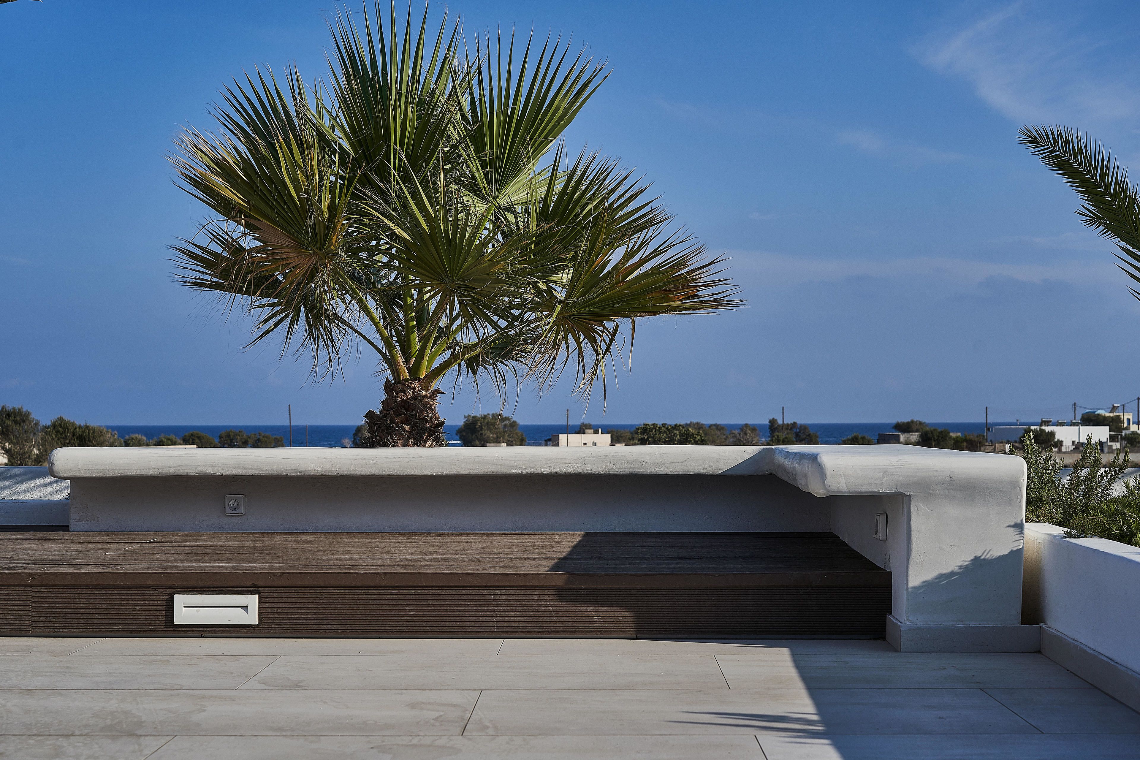 Foto - Petri Suites