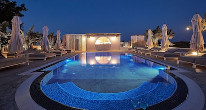 Petri Suites