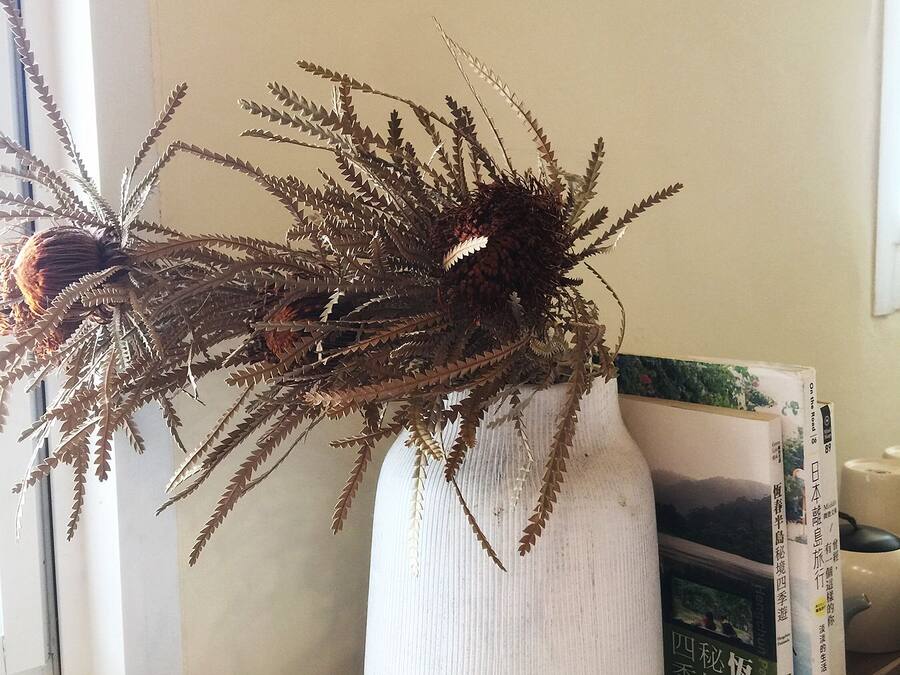Un florero blanco con una planta sobre una mesa cerca de una ventana.