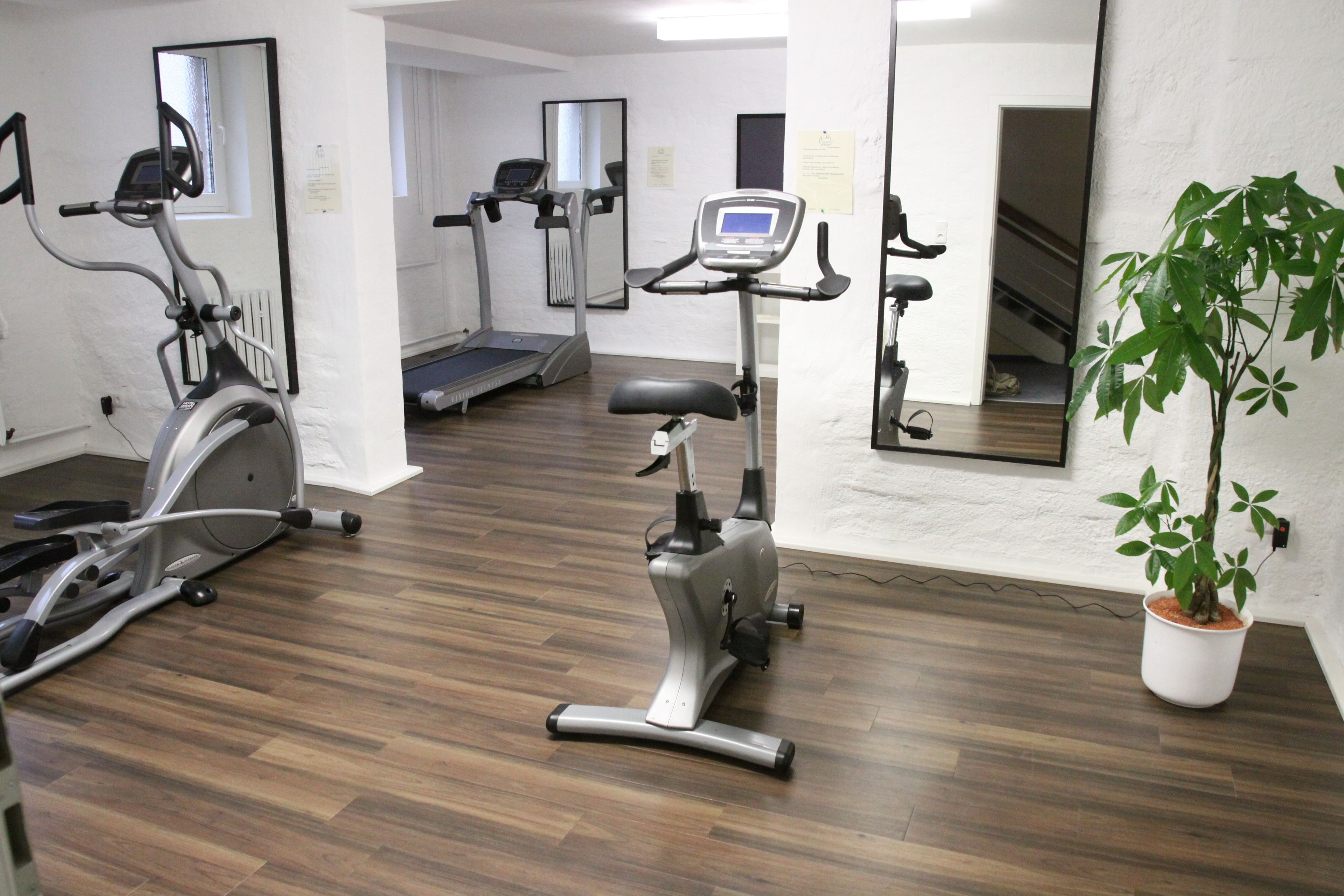 A gym with exercise equipment, a potted plant, and a mirror.