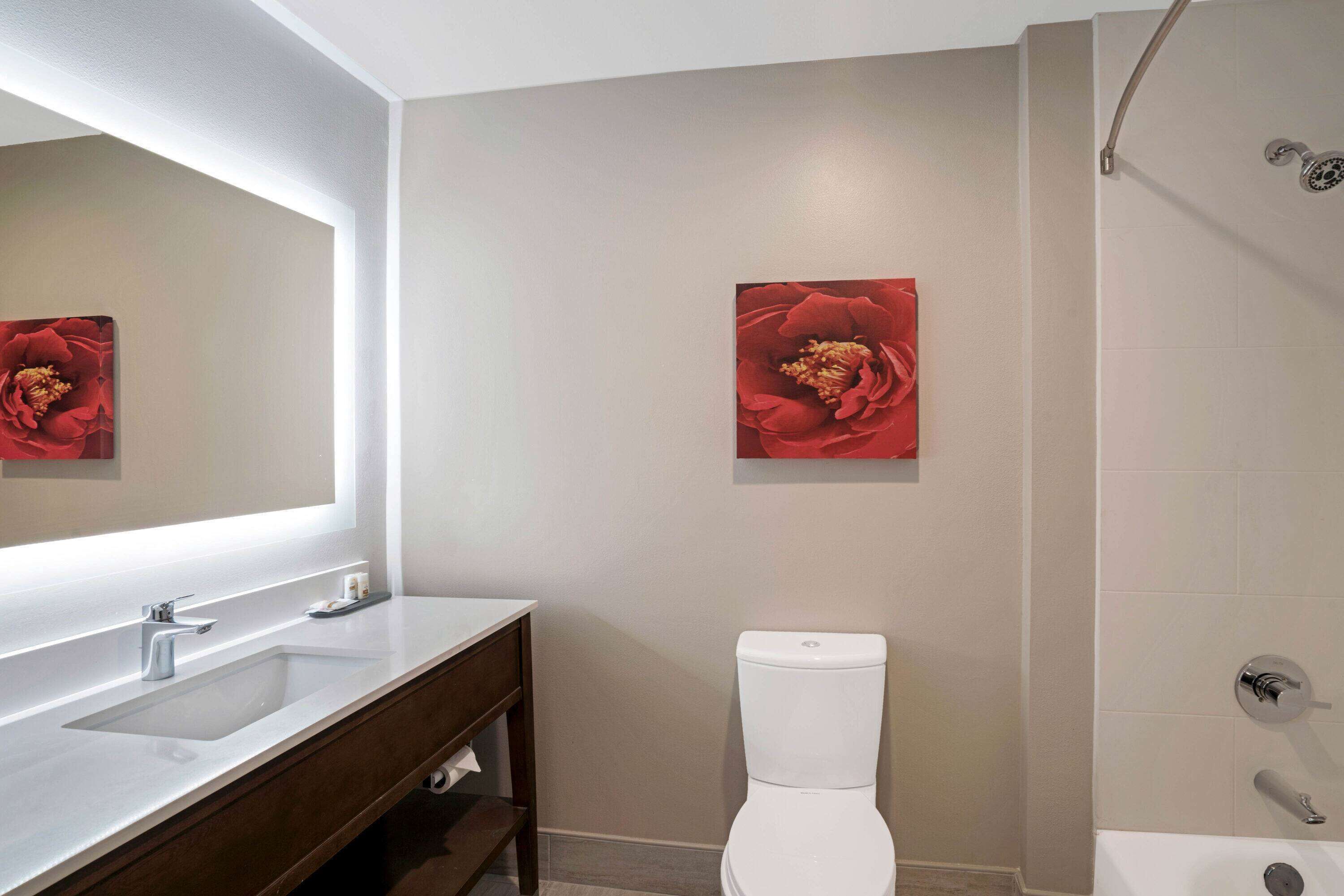 combined shower/bathtub, hair dryer, towels