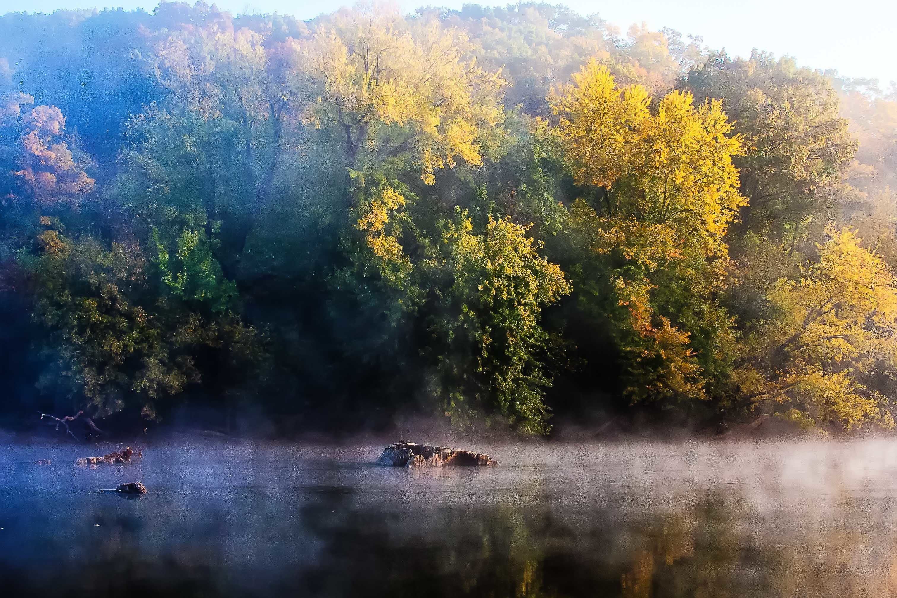 Un lago avvolto nella nebbia, circondato da una fitta foresta con gli alberi riflessi nell'acqua.
