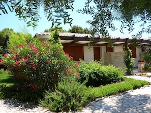 Exterior - Poisson Rouge (Bonifacio)