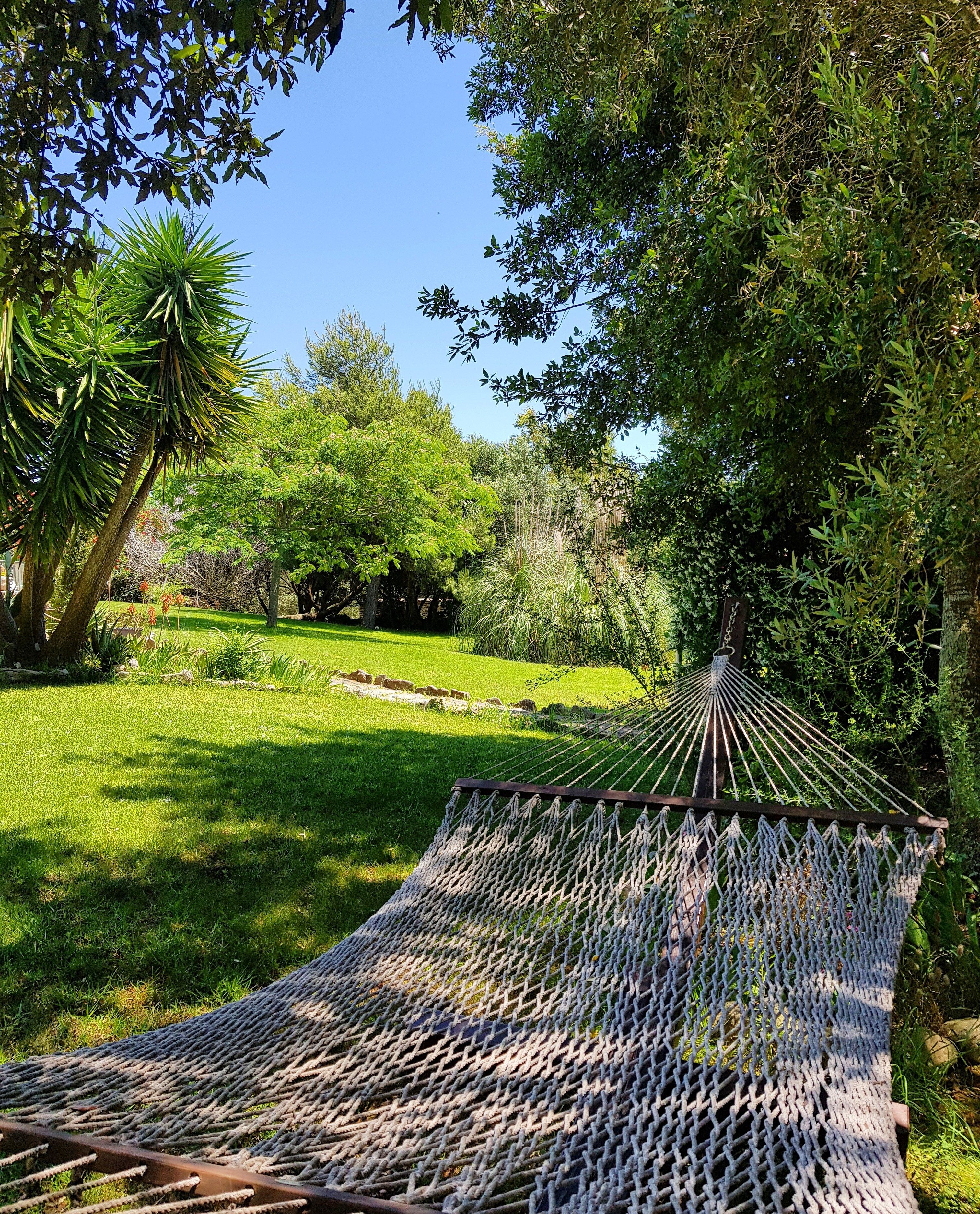 Una hamaca en un jardín exuberante con diversos árboles y un cielo azul despejado.