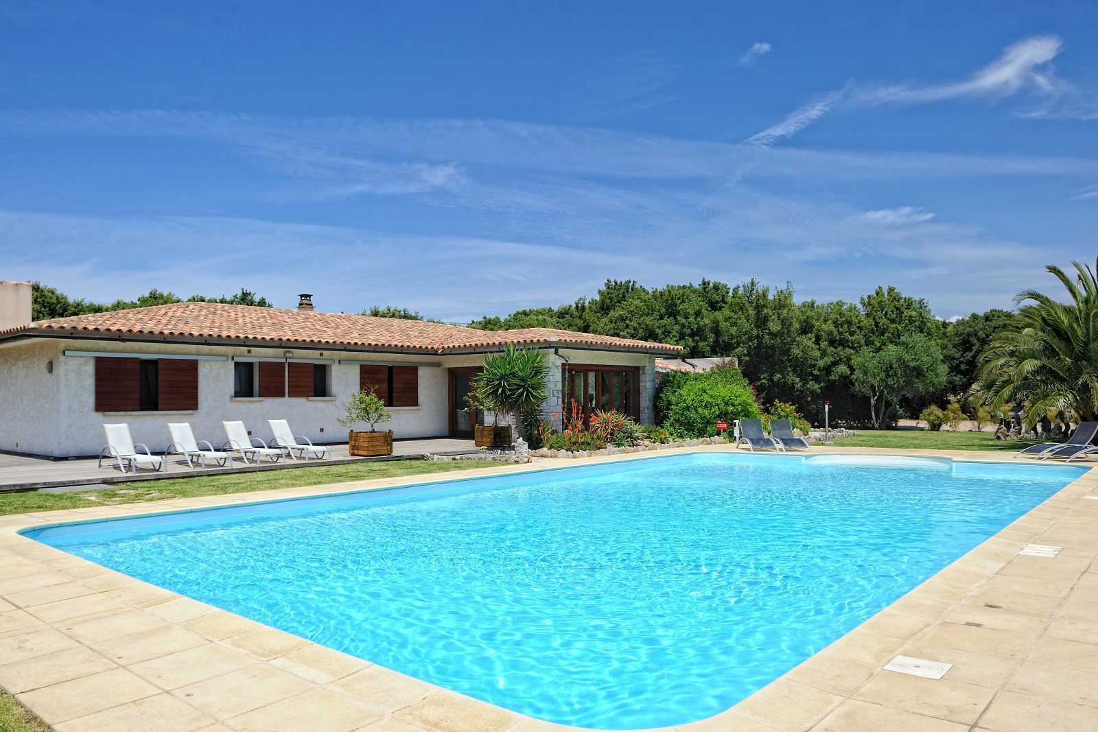 Photo - Poisson Rouge