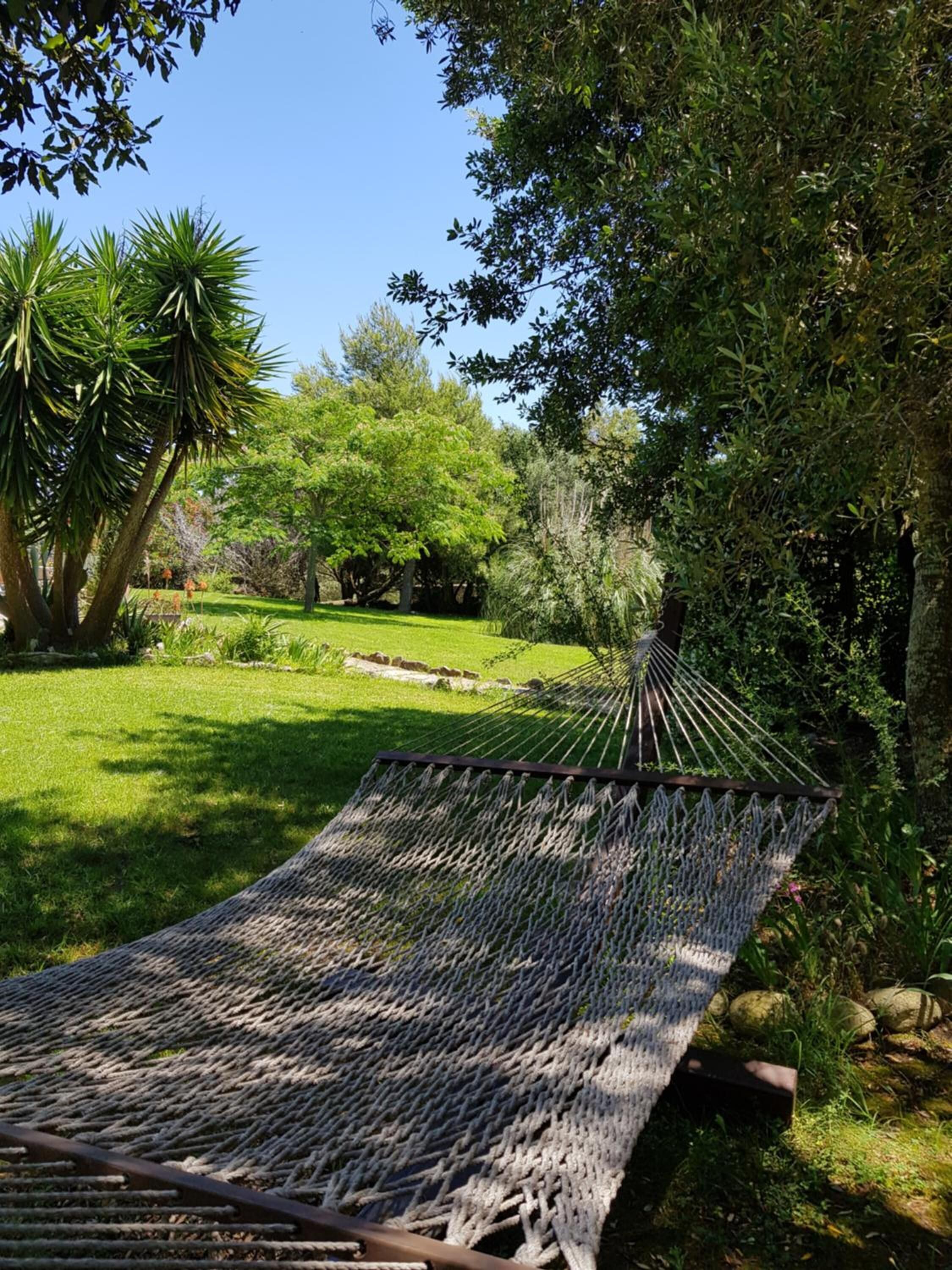 Una hamaca en un jardín exuberante con varios árboles y un cielo despejado.