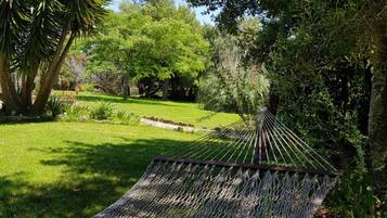Una hamaca en un jardín exuberante con varios árboles y un cielo despejado.
