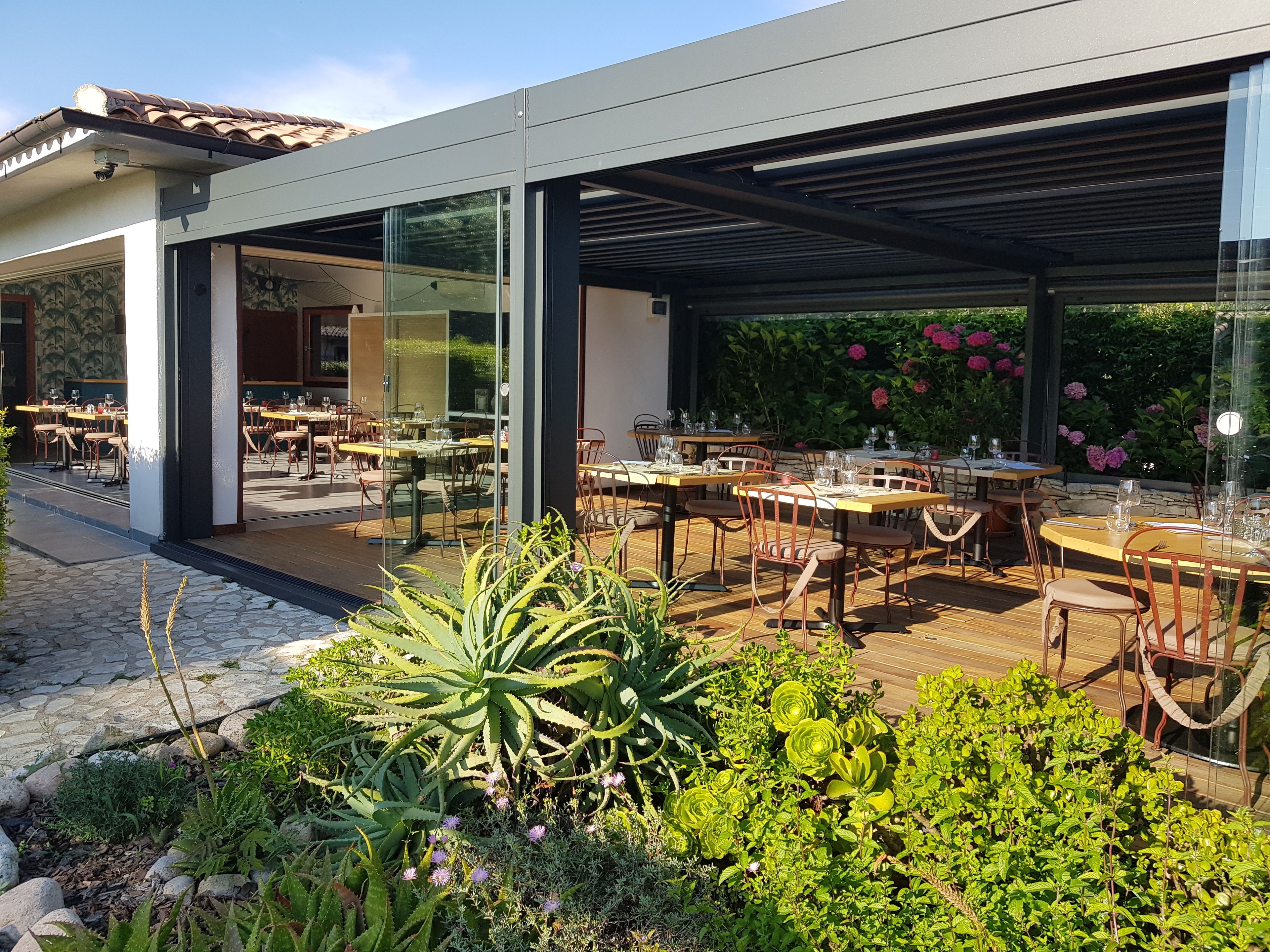 Photo - Poisson Rouge