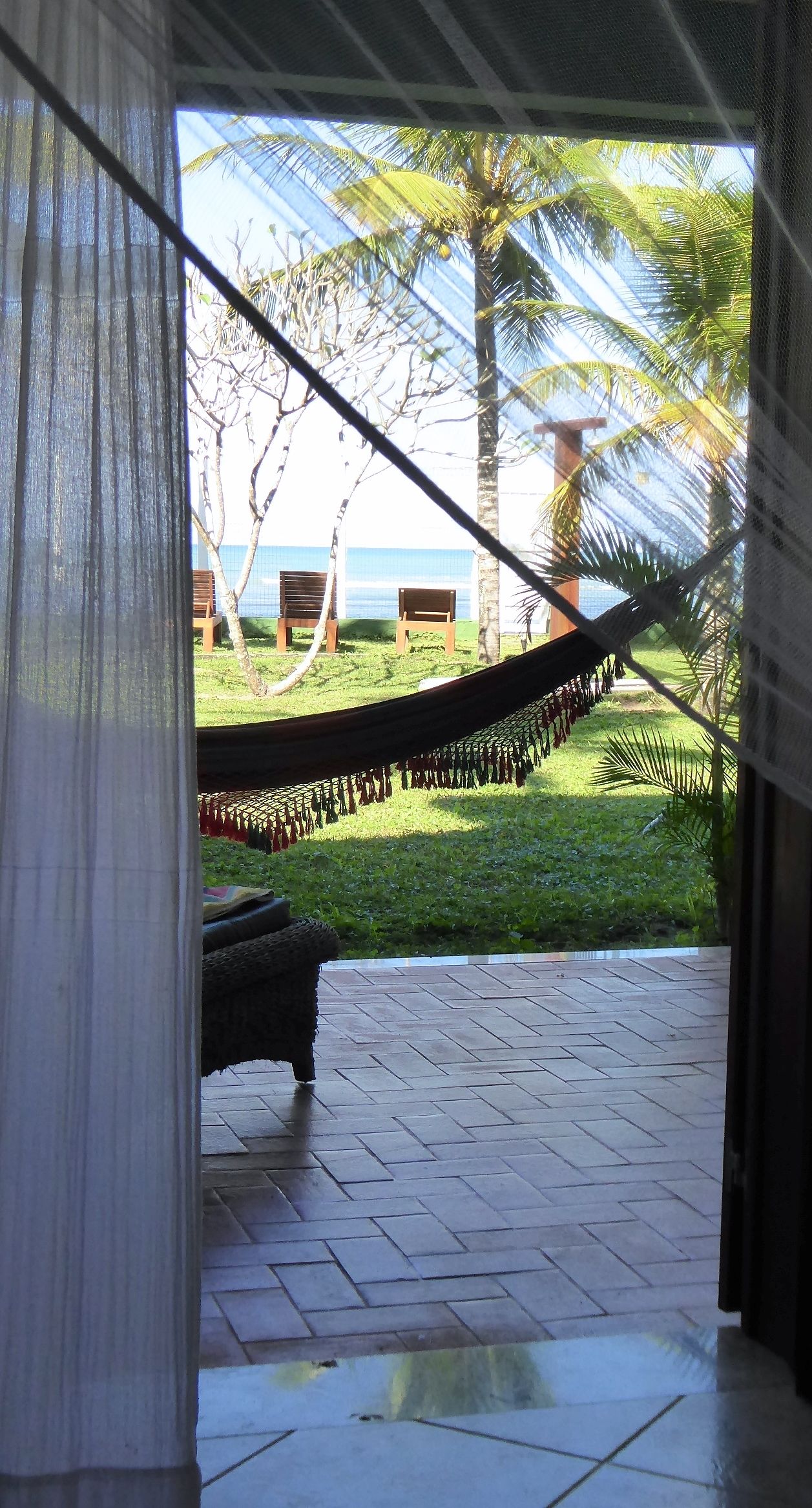 Vista desde la habitación