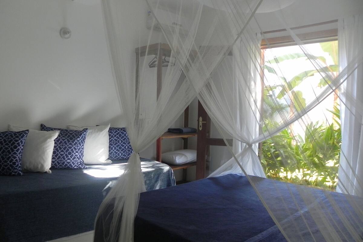 A bedroom with two beds, a mosquito net, and a window with a view of greenery.