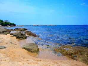 Beach nearby, white sand, 2 beach bars - Brise Marine (Bonifacio)