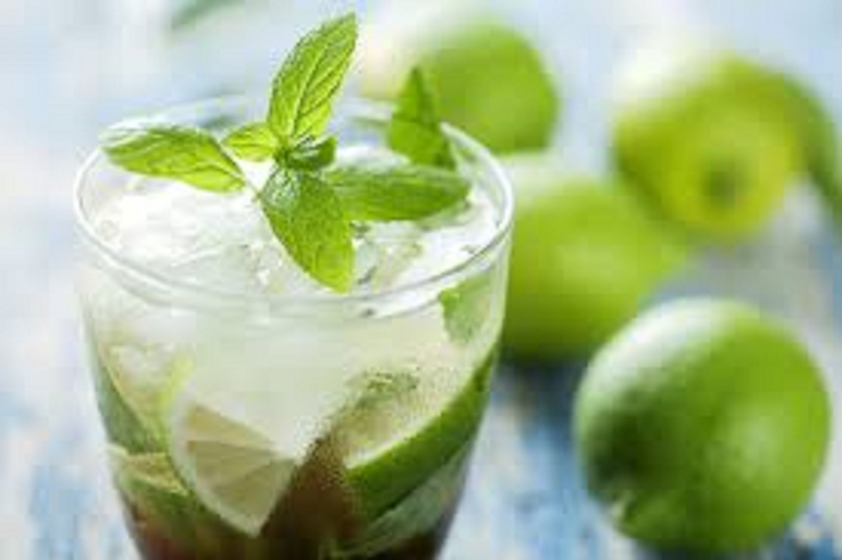 A glass of a beverage with lime and mint garnish.