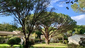 A residential area with houses, a large tree, and a rocky garden path. - Les Pins de Santa Giulia (Porto-Vecchio)