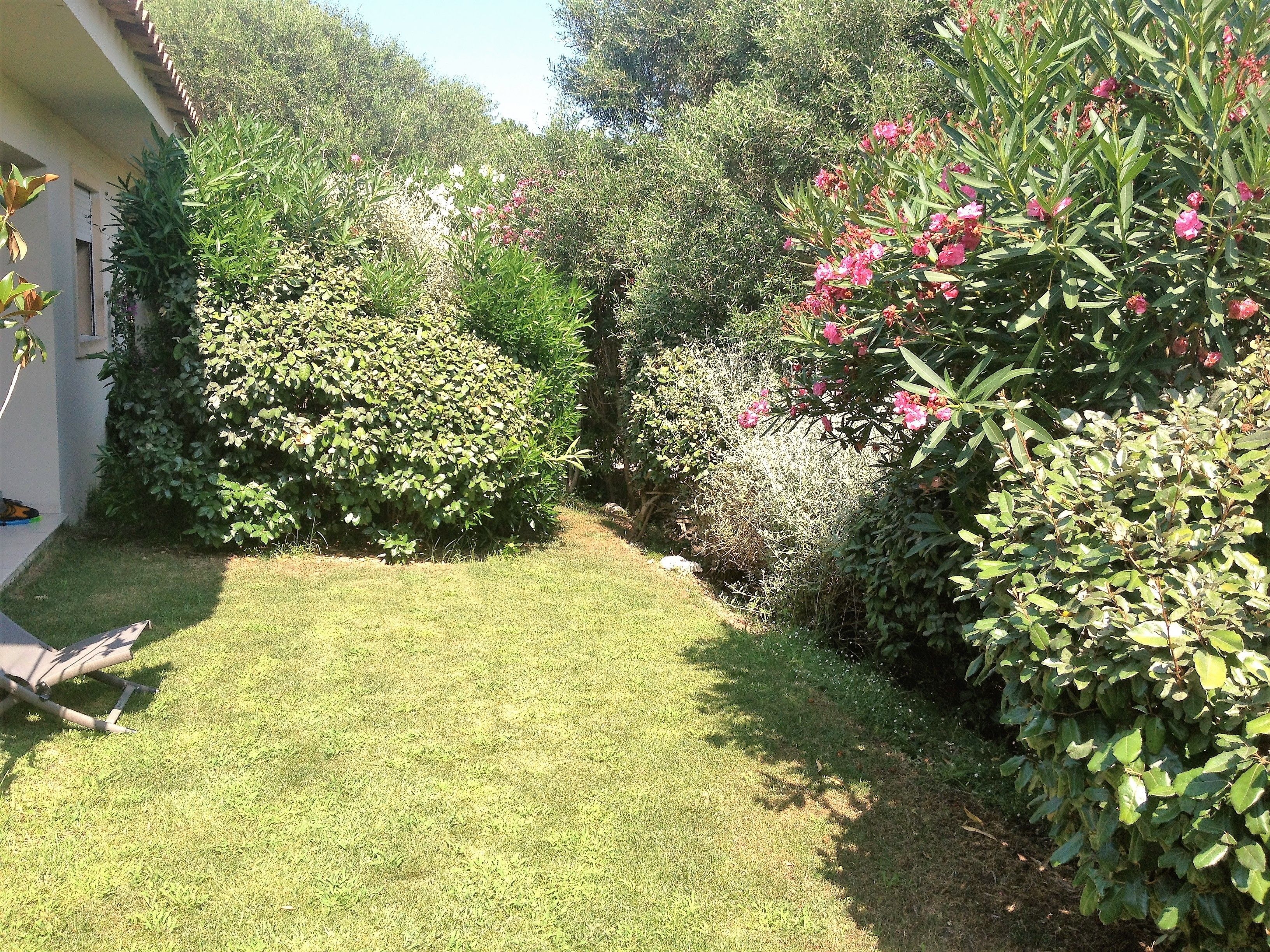 A well-maintained garden with various shrubs and flowering plants.