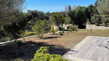 Standard Apartment | Terrace/patio