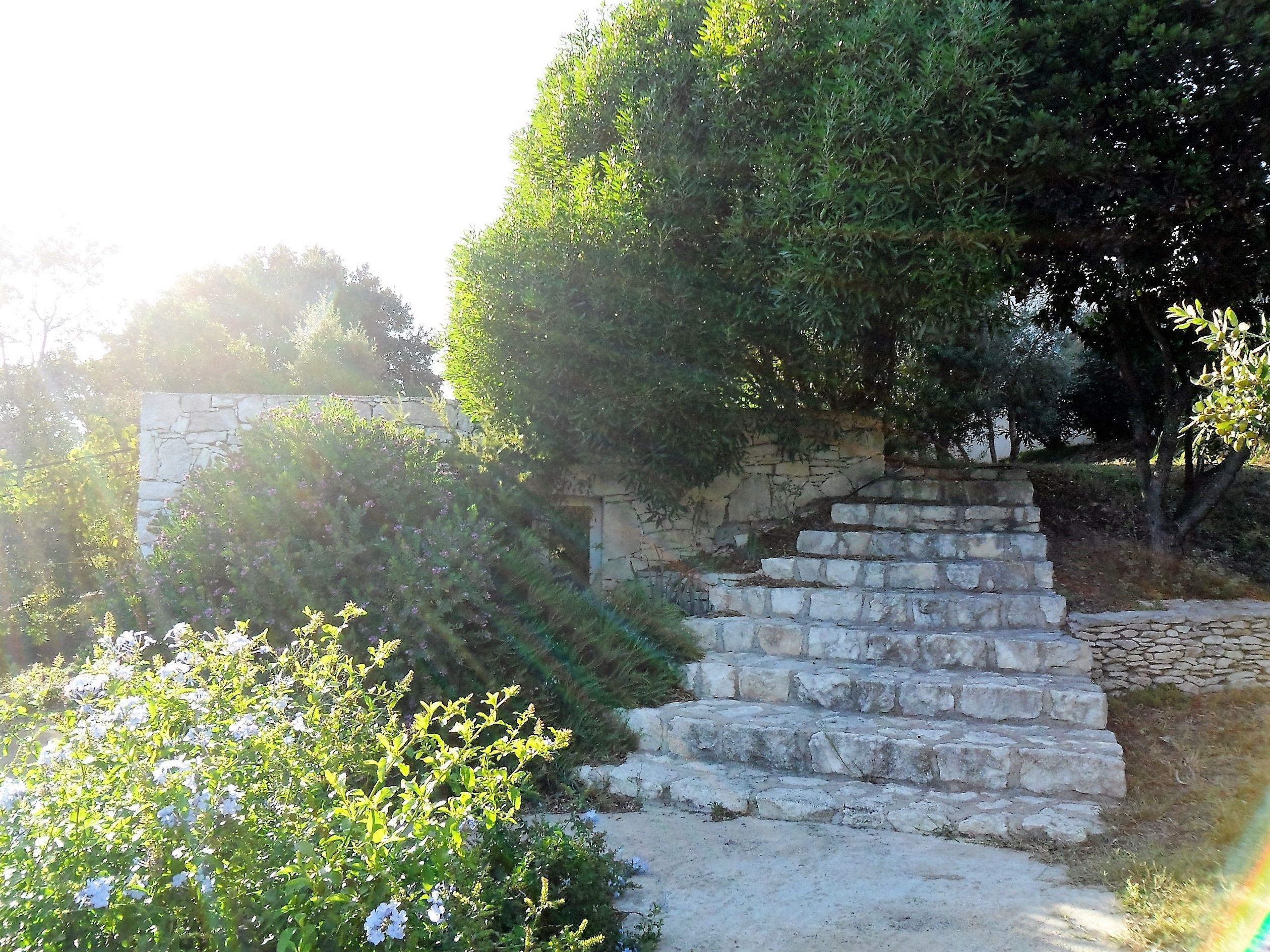 A stone staircase leading up to a stone wall, surrounded by greenery and flowering plants.