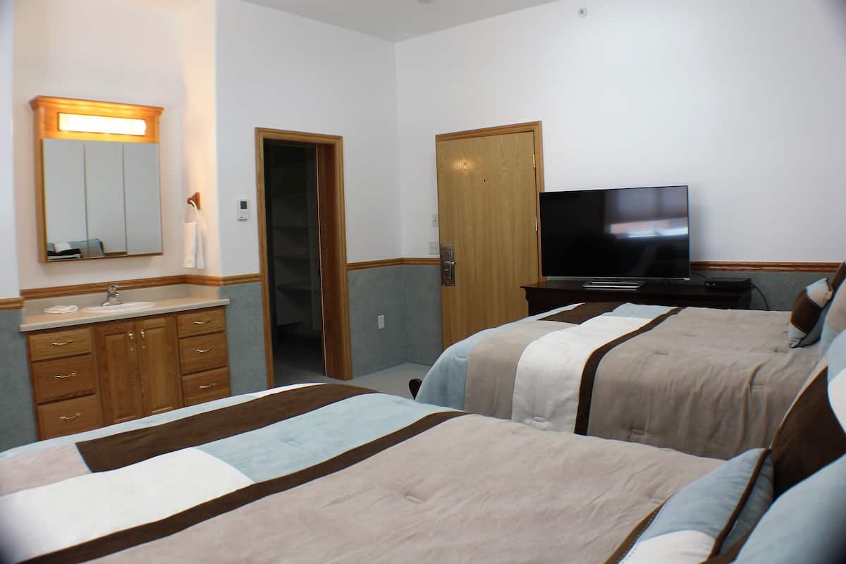 Una habitación de hotel con dos camas, un televisor, un espejo, un lavamanos y una puerta que da a un armario.