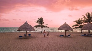 A beach with thatched umbrellas and lounge chairs, a palm tree, and the ocean. - Brisa Oceano Resort (Placencia)