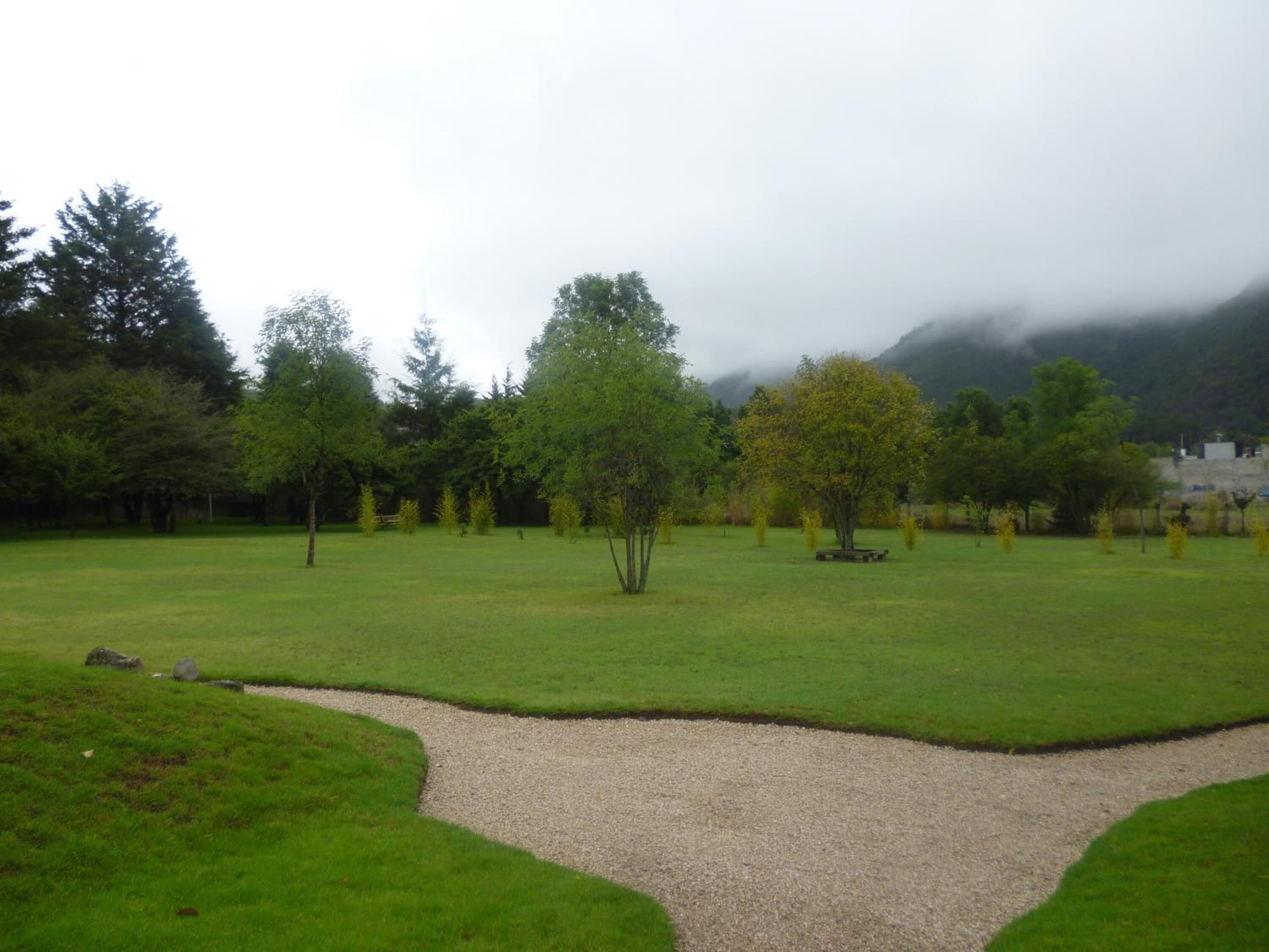 Um parque com um caminho de cascalho, grama verde e árvores.