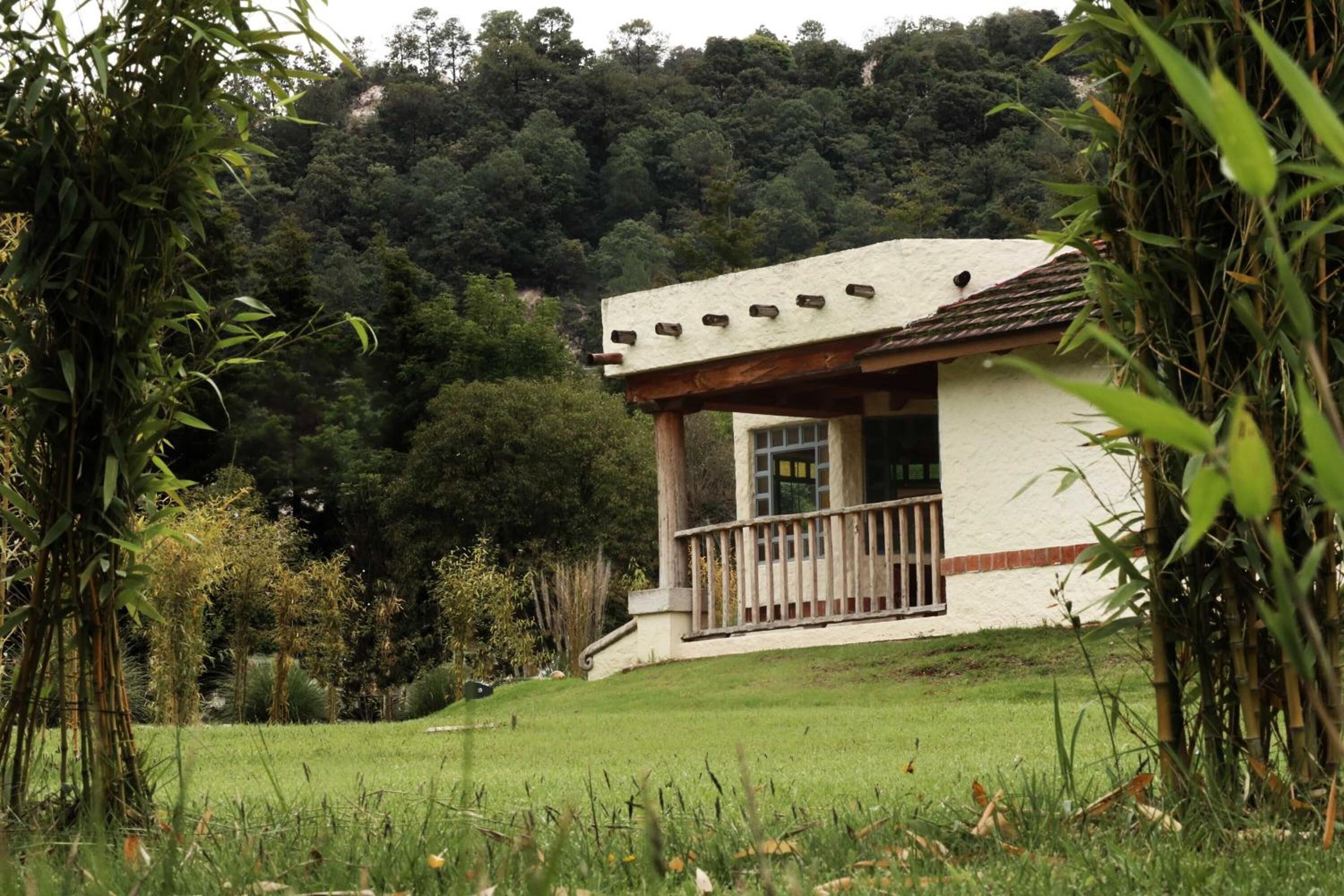 Photo - Hotel Bosques del Sol Suites