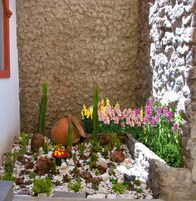 Un jardín rocoso con diversas plantas y una maceta decorativa.