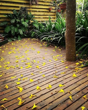 Jardin
