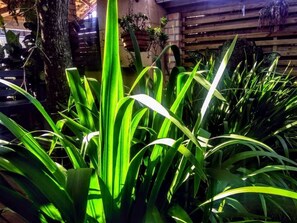 Garden - Quinta do Moçambique (Florianópolis)