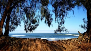 Una playa con árboles y olas del océano.