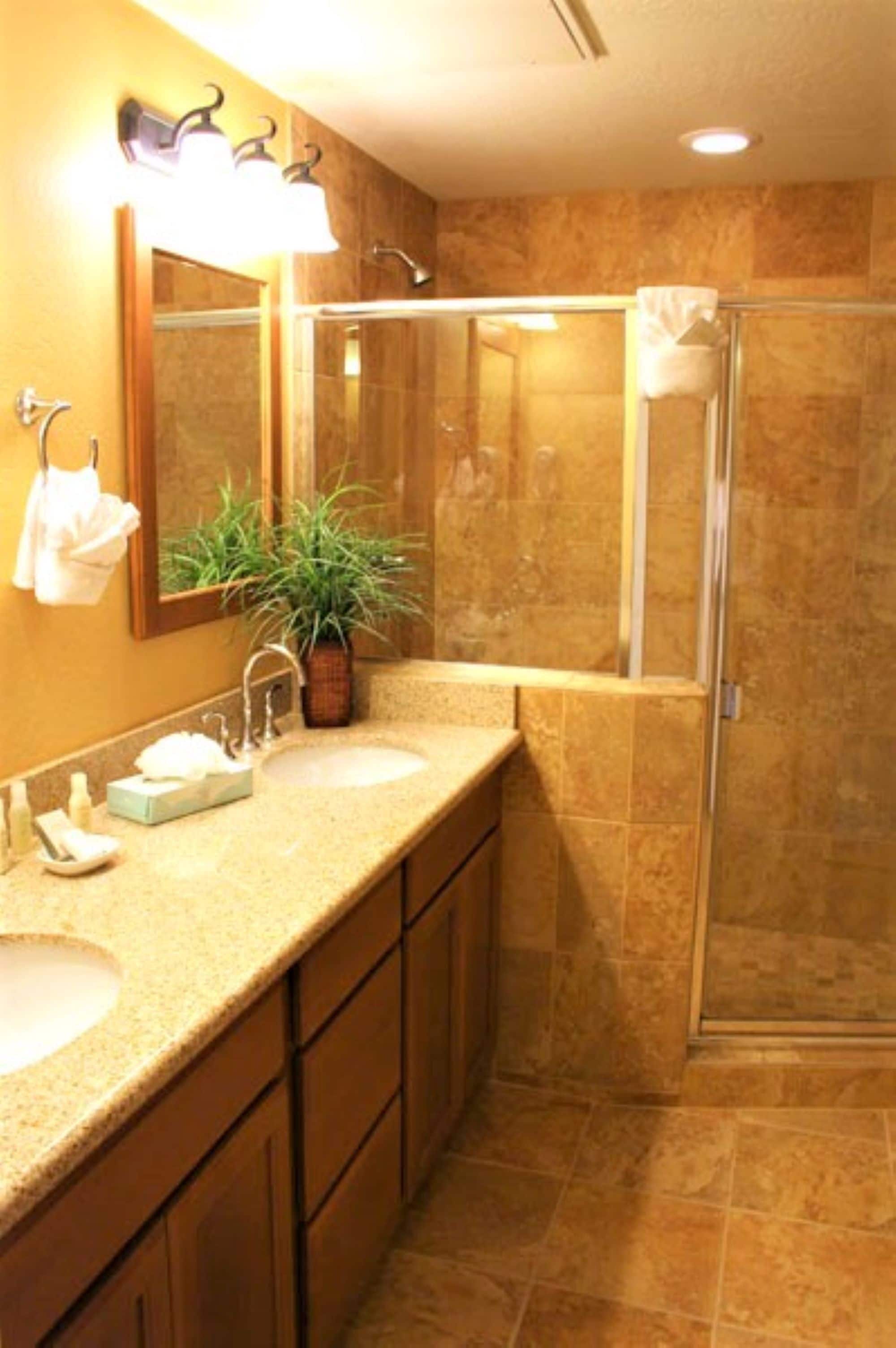A bathroom with two sinks, a mirror, a potted plant, and a glass shower enclosure.