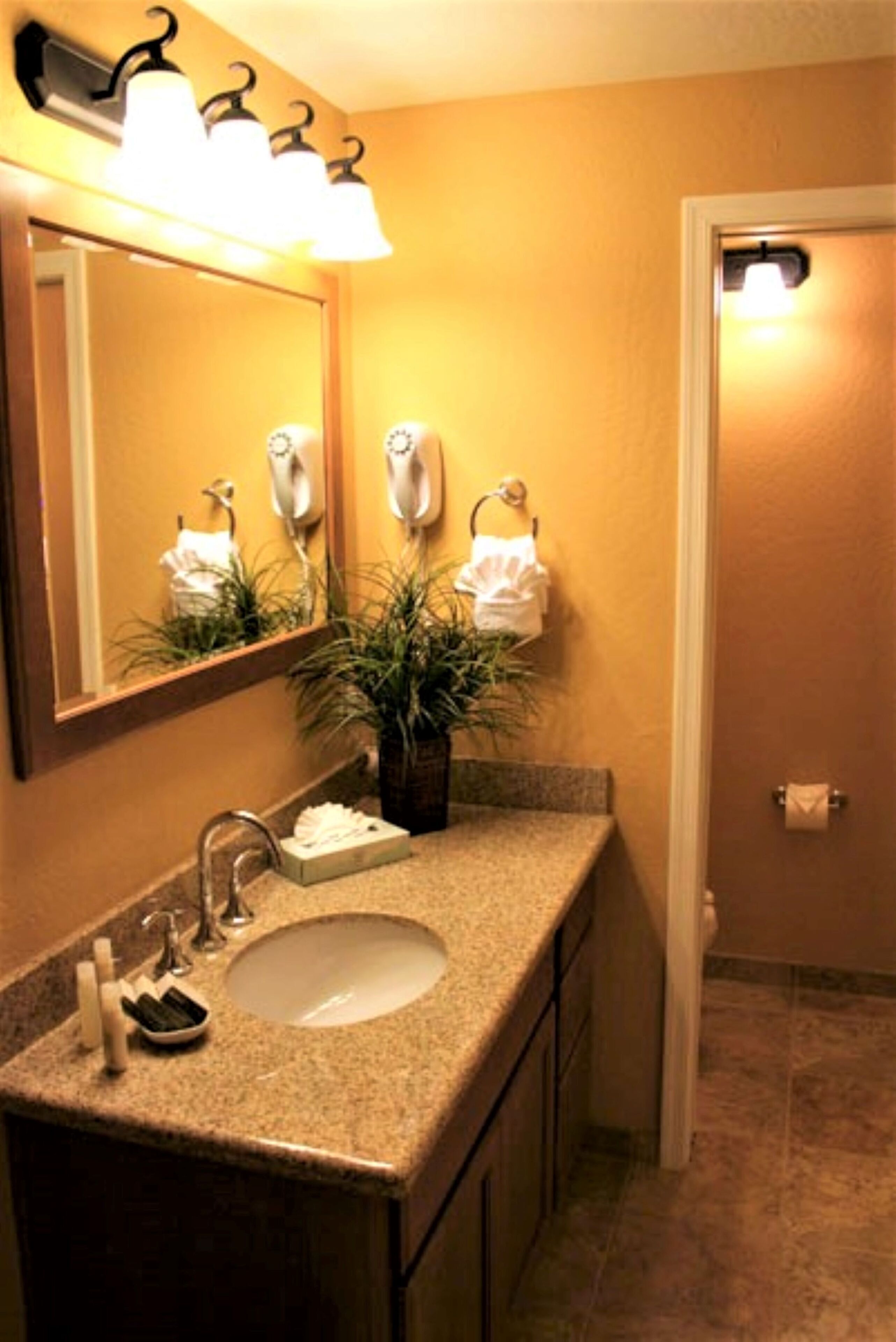 A bathroom with a granite countertop sink, a mirror with lights, a potted plant, and a towel rack.