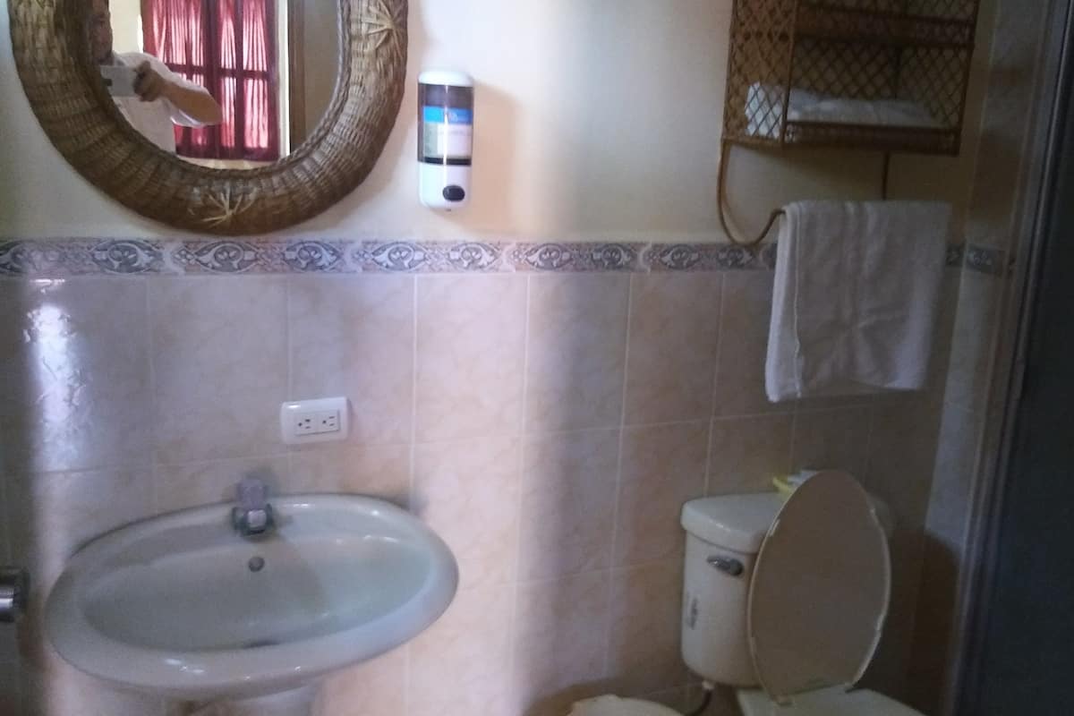 Shower, free toiletries, towels