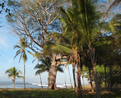 Punta Roca Surf Resort