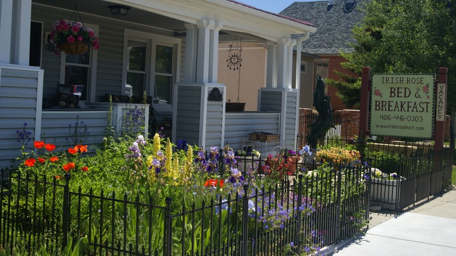 Gallagher's Irish Rose