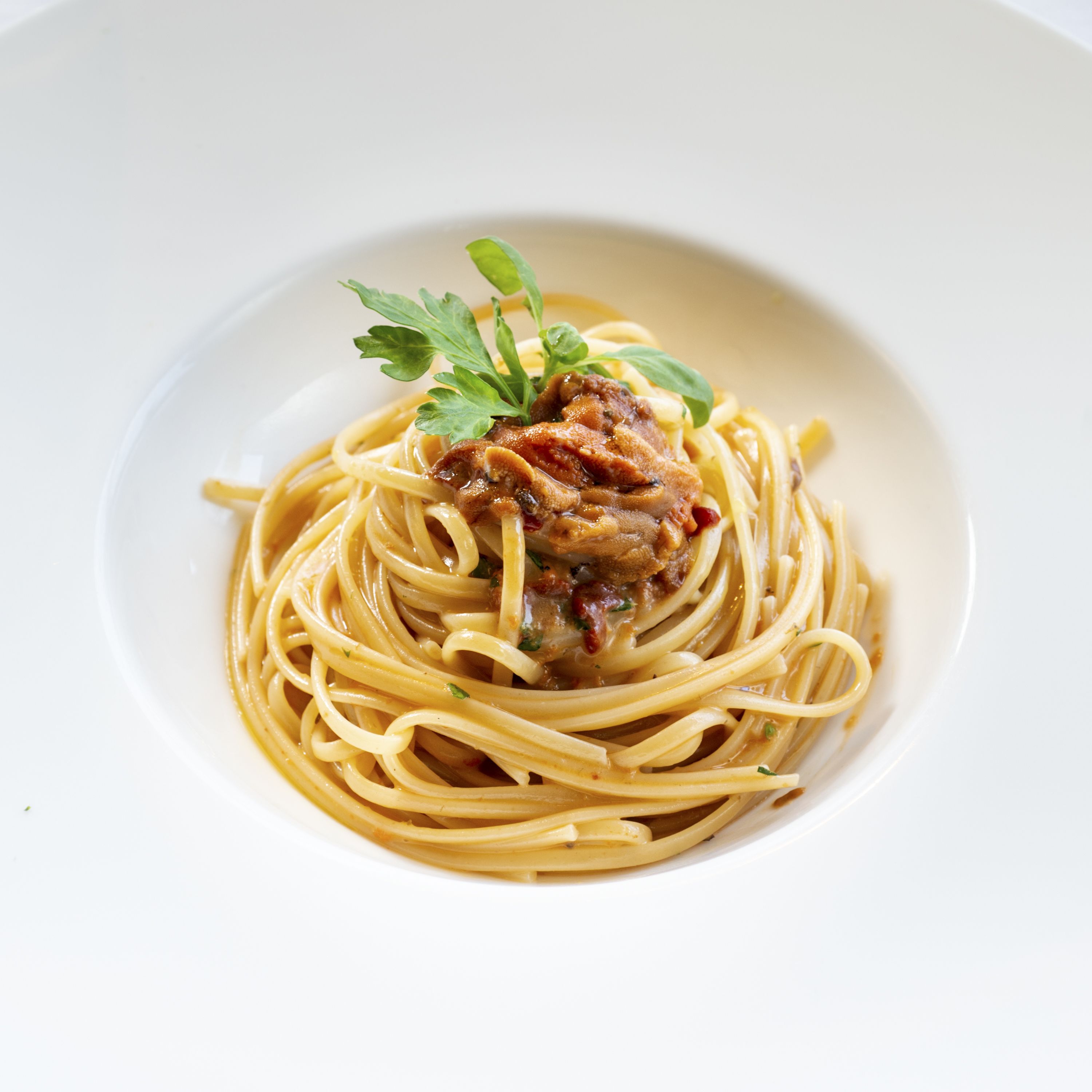 A plate of spaghetti with a meat topping and garnish.