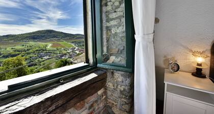 Villa Luna-talo Motovunin sydämessä