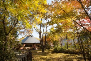 Khuôn viên nơi lưu trú